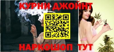 дмт Новокубанск
