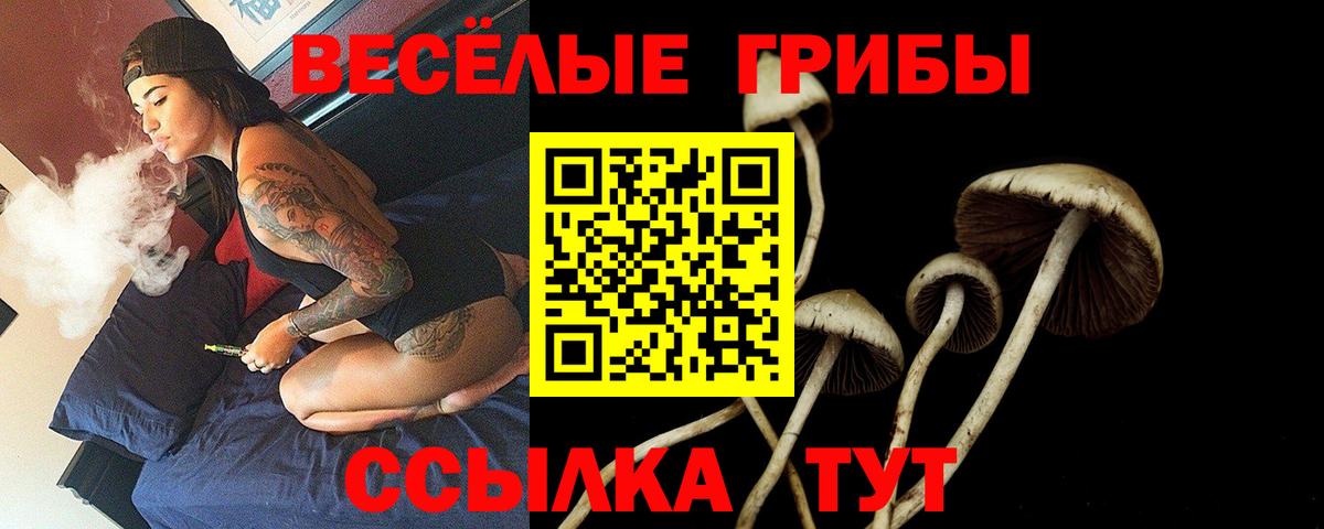 Галлюциногенные грибы прущие грибы  Псилоцибиновые грибы MAGIC MUSHROOMS  Вход с VPN  Сосновоборск 